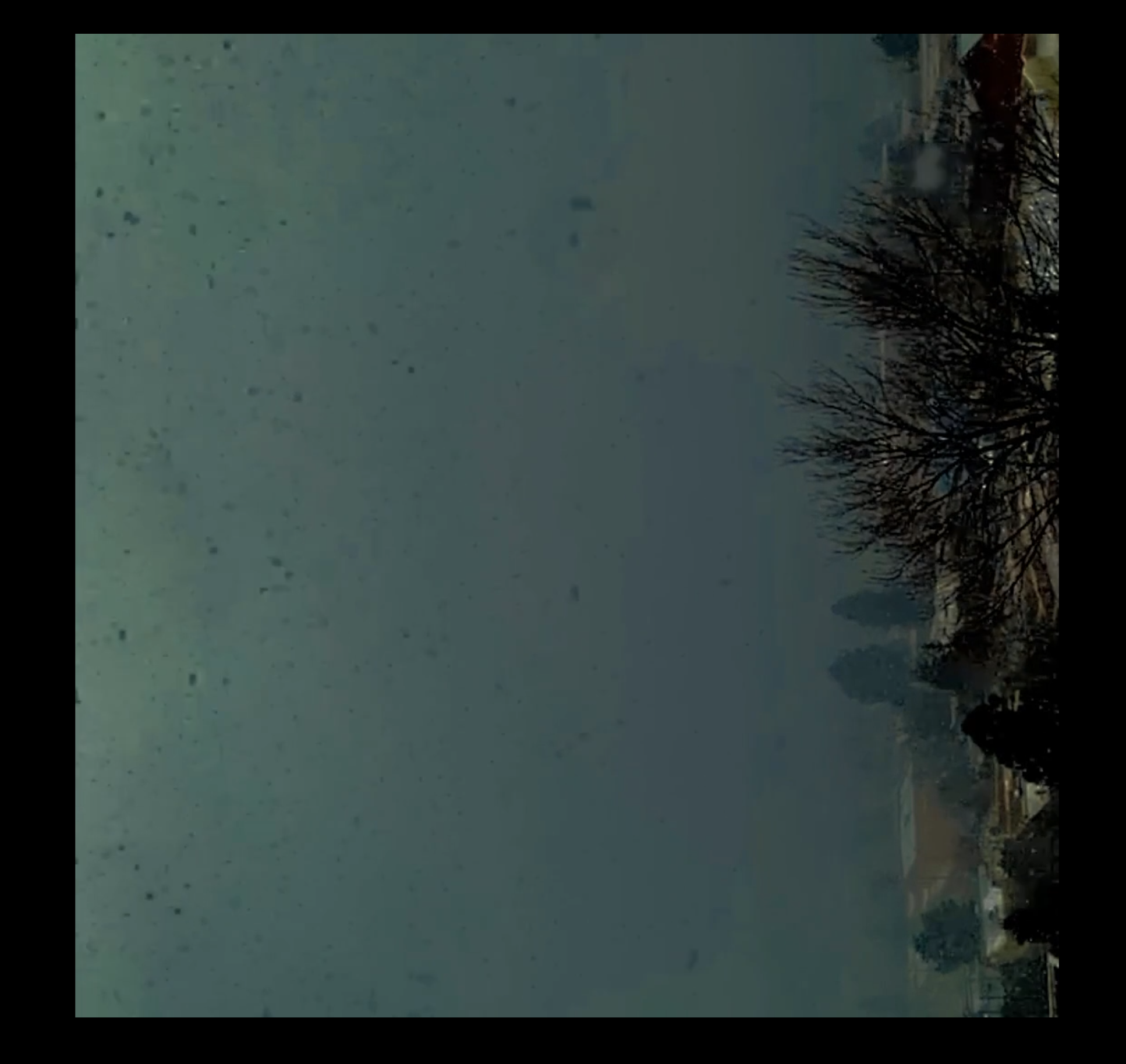 Oasis