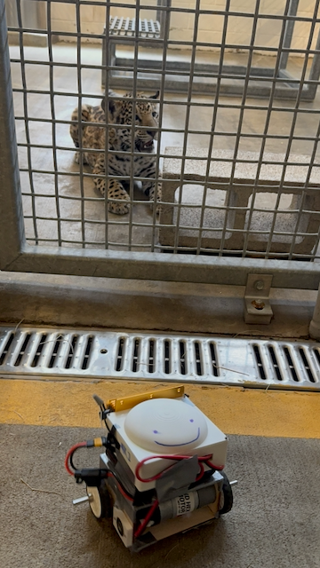 jaguar testing